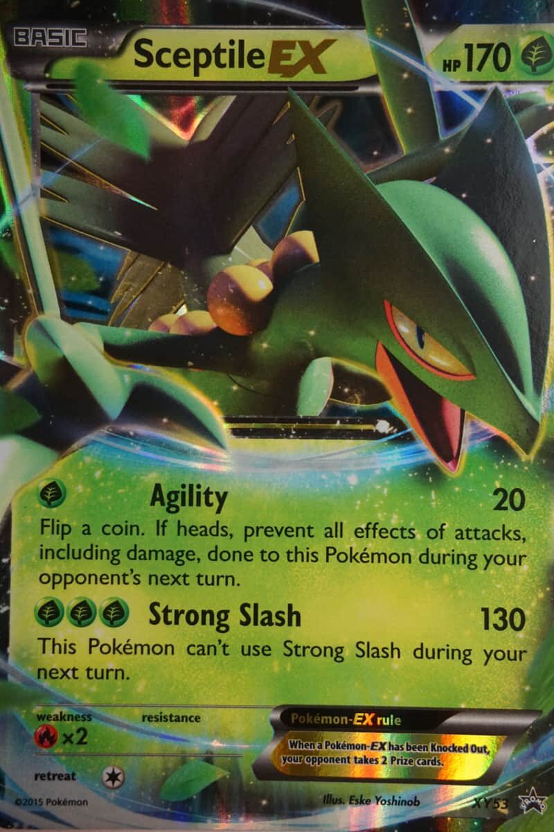 Sceptile EX XY53