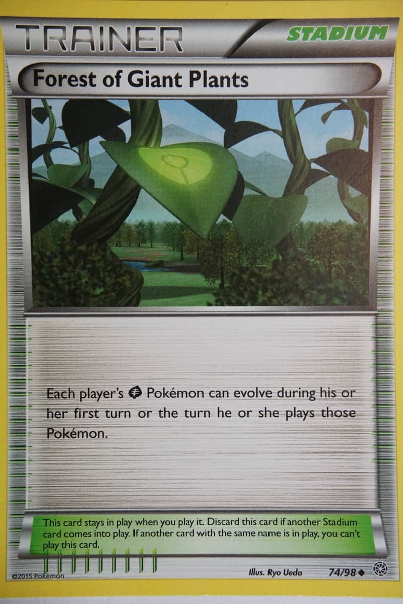 Forest of Giant Plants 74/98