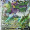 DSC06818-1.jpg