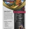 Vivid Voltage Theme Deck med Charizard