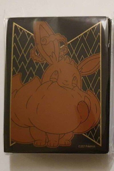 65 lommer med Eevee