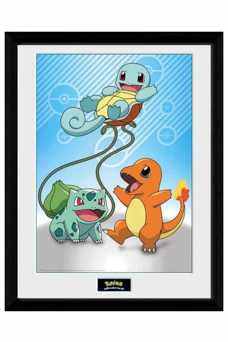 Indrammet billede med Kanto Starter