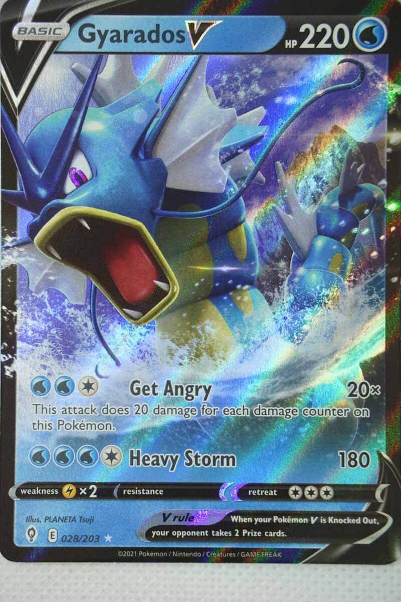 Gyarados V 28/203