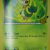 Snivy BW01 25 års jubilæum Stor