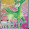 Virizion V 164/189 Full Art
