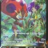 Orbeetle V TG12/TG30