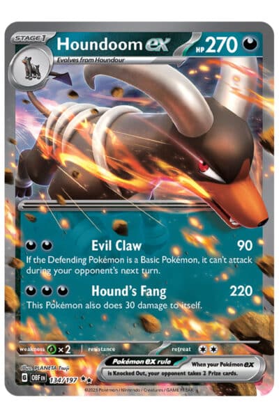Houndoom ex 134/197