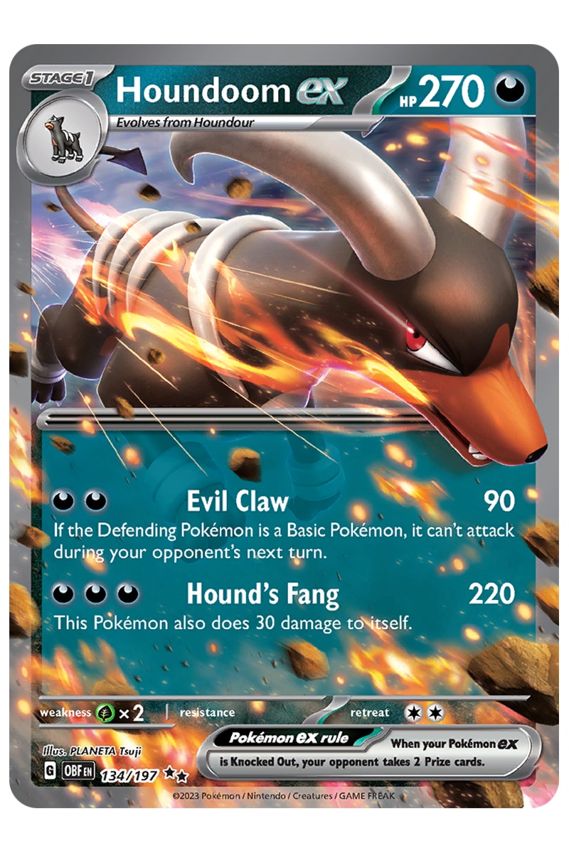Houndoom ex 134/197