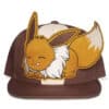 Sjov Eevee Kasket