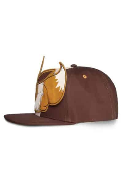 Sjov Eevee Kasket